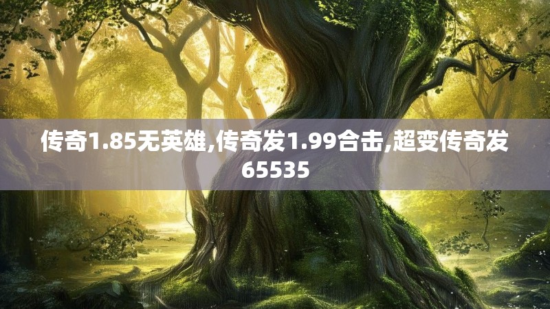 传奇1.85无英雄,传奇发1.99合击,超变传奇发65535