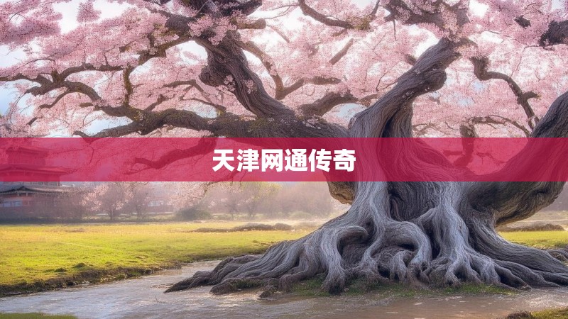 天津网通传奇