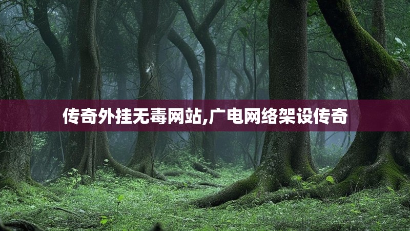 传奇外挂无毒网站,广电网络架设传奇