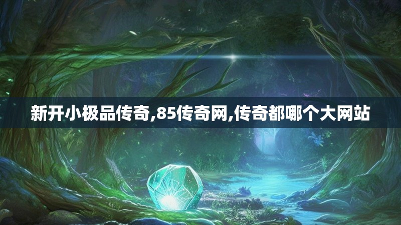 新开小极品传奇,85传奇网,传奇都哪个大网站