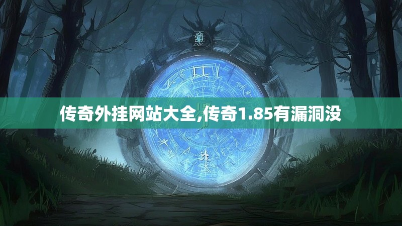 传奇外挂网站大全,传奇1.85有漏洞没