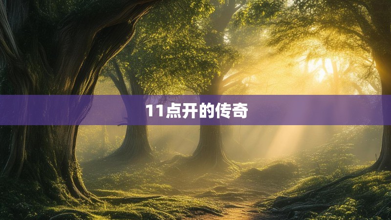 11点开的传奇