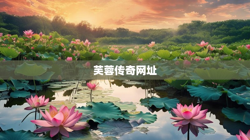 芙蓉传奇网址