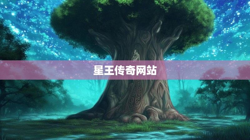 星王传奇网站