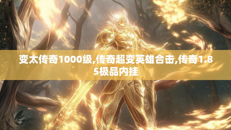 变太传奇1000级,传奇超变英雄合击,传奇1.85极品内挂