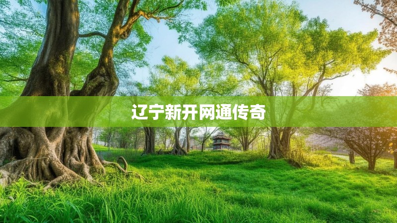 辽宁新开网通传奇