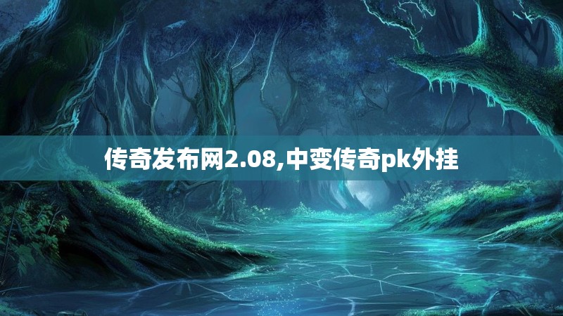 传奇发布网2.08,中变传奇pk外挂