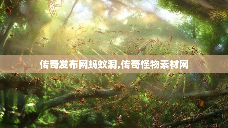 传奇发布网蚂蚁洞,传奇怪物素材网