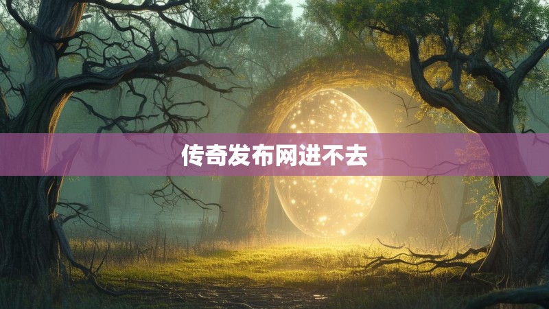 传奇发布网进不去