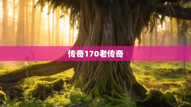 传奇170老传奇
