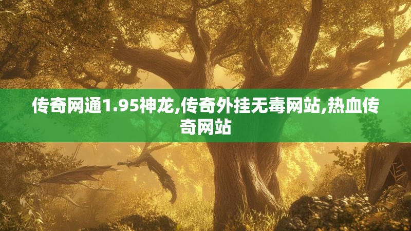 传奇网通1.95神龙,传奇外挂无毒网站,热血传奇网站