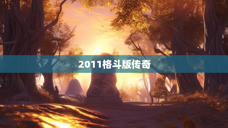 2011格斗版传奇