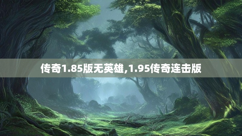 传奇1.85版无英雄,1.95传奇连击版