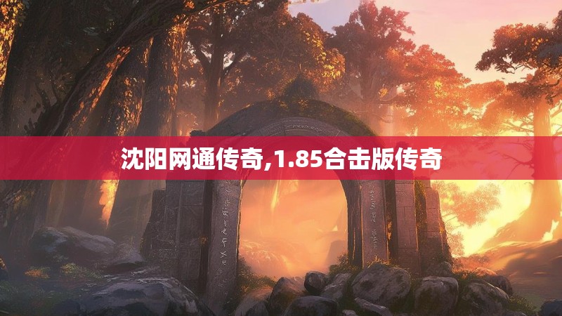 沈阳网通传奇,1.85合击版传奇