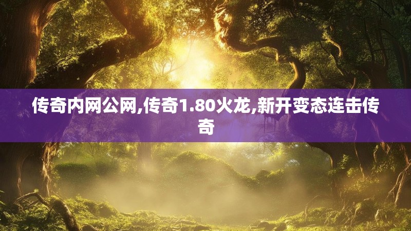 传奇内网公网,传奇1.80火龙,新开变态连击传奇
