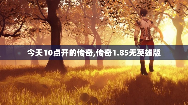 今天10点开的传奇,传奇1.85无英雄版