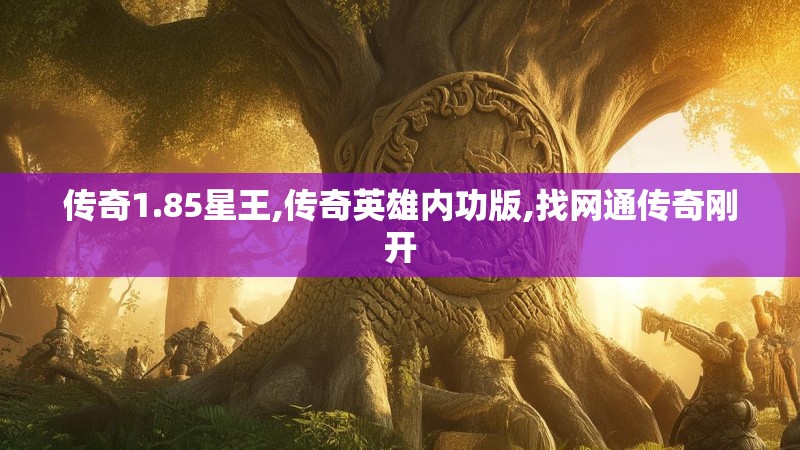 传奇1.85星王,传奇英雄内功版,找网通传奇刚开