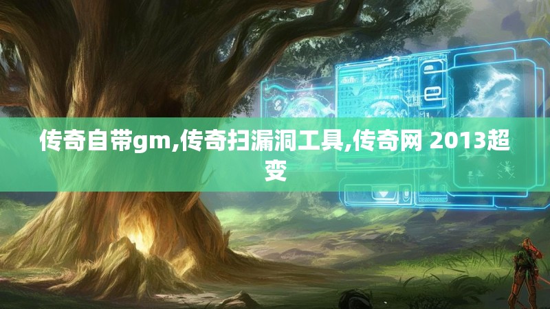 传奇自带gm,传奇扫漏洞工具,传奇网 2013超变