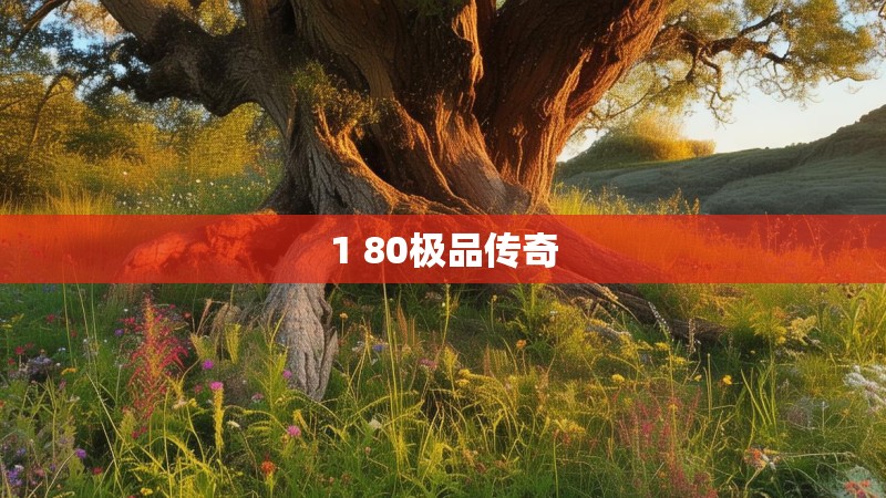 1 80极品传奇