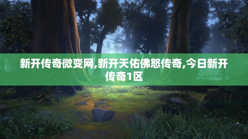新开传奇微变网,新开天佑佛怒传奇,今日新开传奇1区