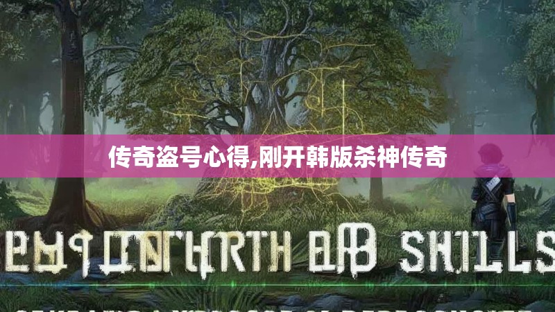 传奇盗号心得,刚开韩版杀神传奇