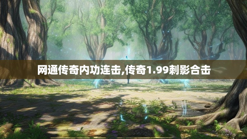 网通传奇内功连击,传奇1.99刺影合击