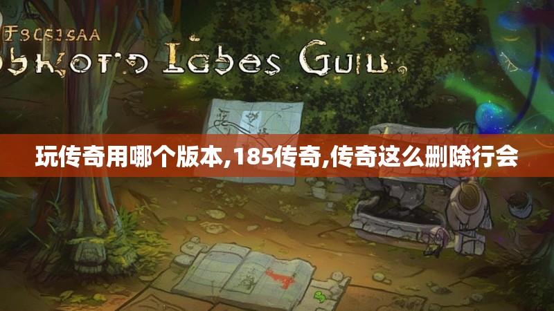 玩传奇用哪个版本,185传奇,传奇这么删除行会