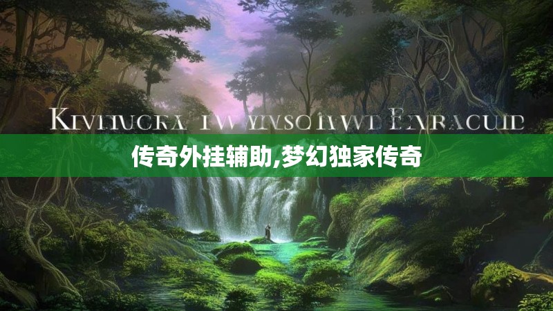 传奇外挂辅助,梦幻独家传奇