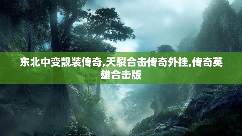 东北中变靓装传奇,天裂合击传奇外挂,传奇英雄合击版