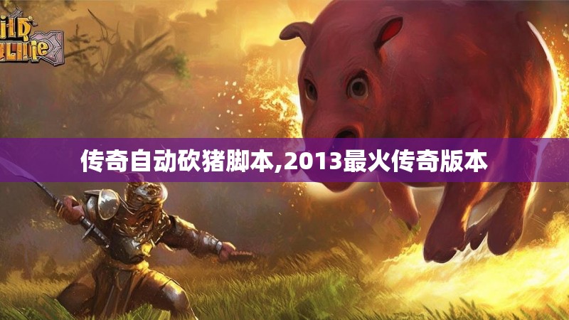 传奇自动砍猪脚本,2013最火传奇版本