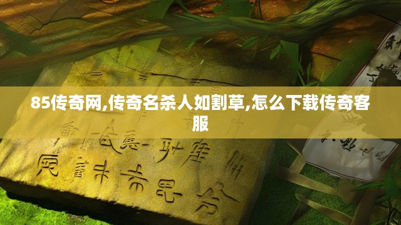 85传奇网,传奇名杀人如割草,怎么下载传奇客服