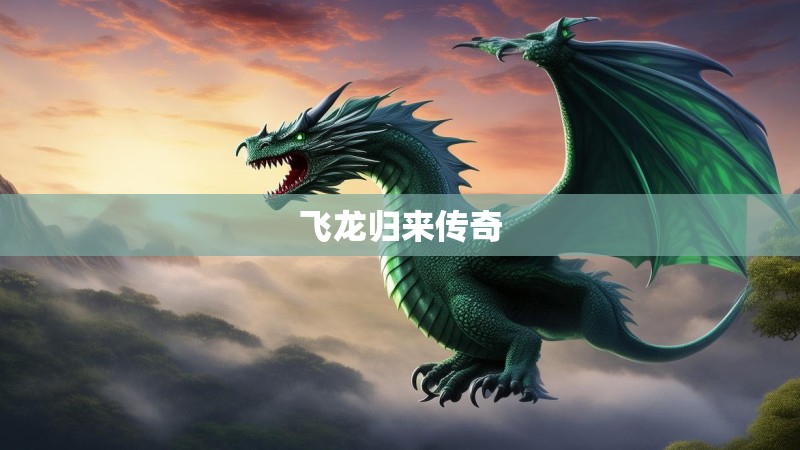 飞龙归来传奇