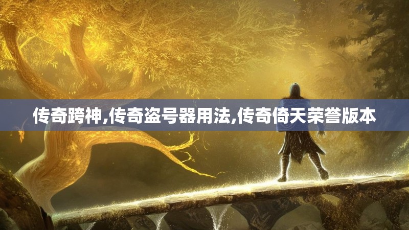 传奇跨神,传奇盗号器用法,传奇倚天荣誉版本