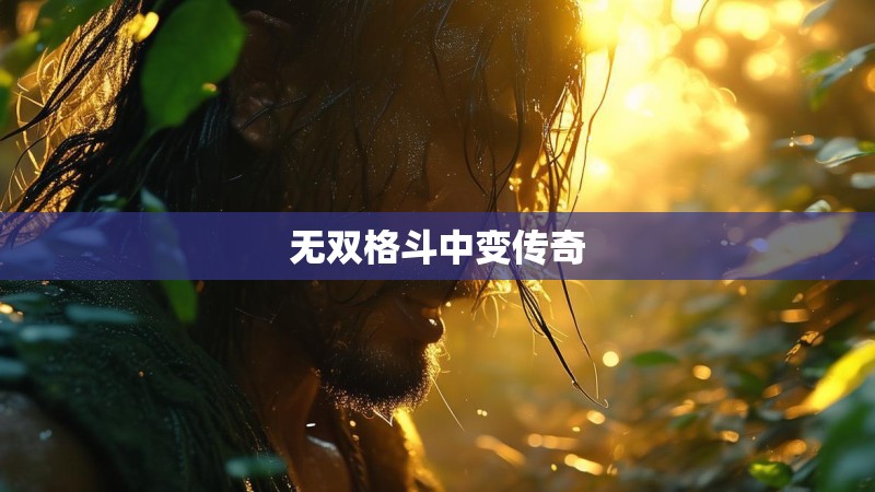 无双格斗中变传奇