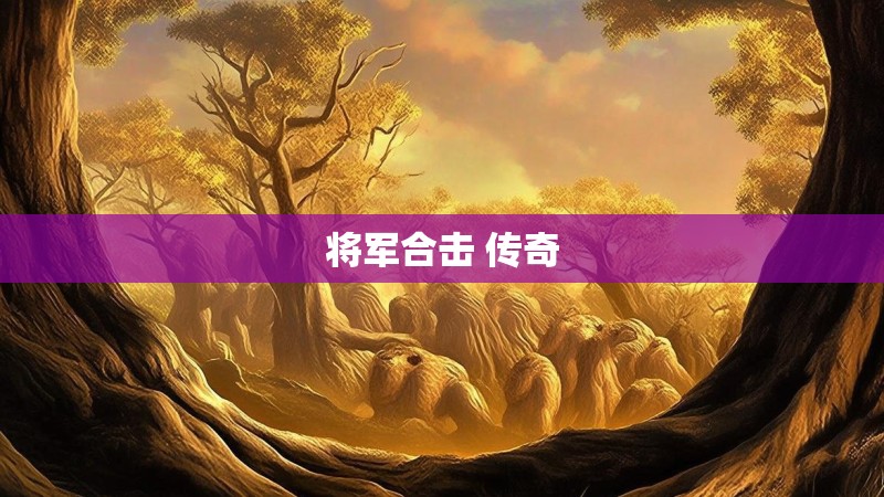 将军合击 传奇 将军合击 传奇
