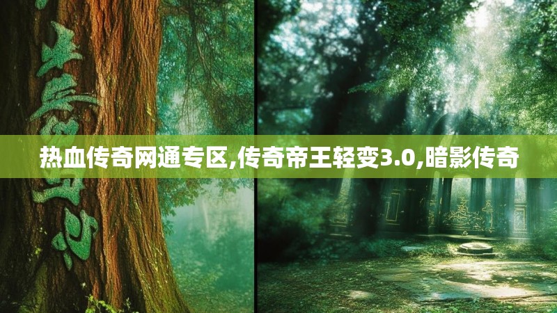 热血传奇网通专区,传奇帝王轻变3.0,暗影传奇