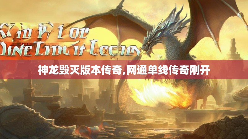 神龙毁灭版本传奇,网通单线传奇刚开