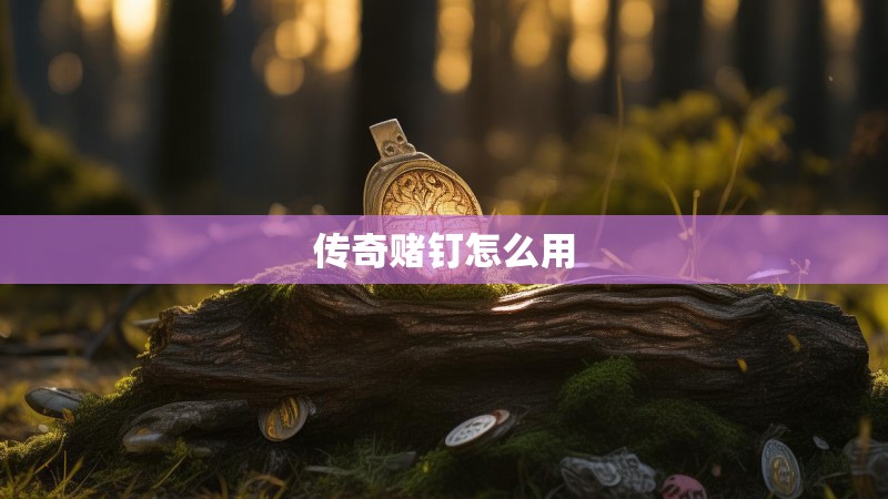 传奇赌钉怎么用