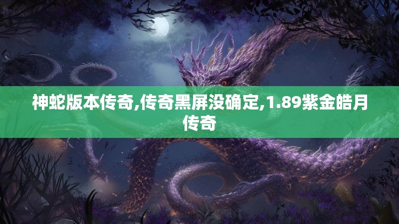 神蛇版本传奇,传奇黑屏没确定,1.89紫金皓月传奇