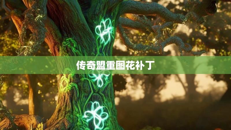 传奇盟重图花补丁
