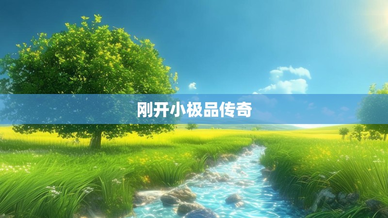 刚开小极品传奇