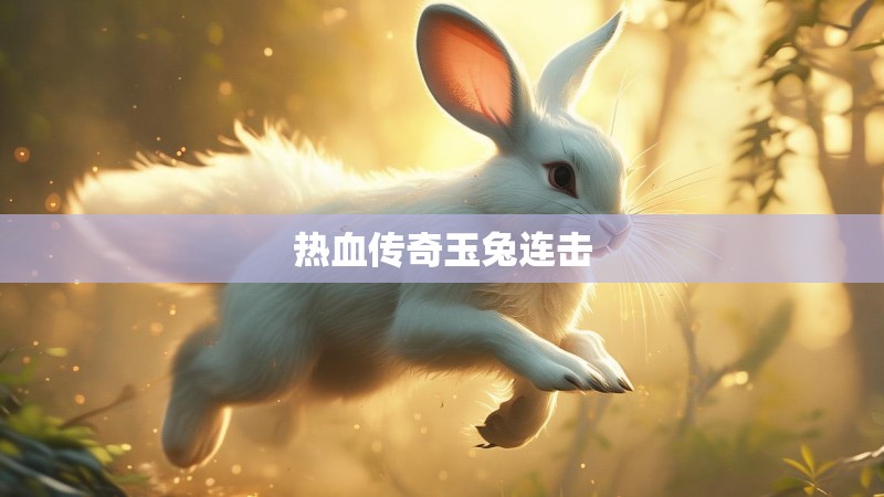 热血传奇玉兔连击