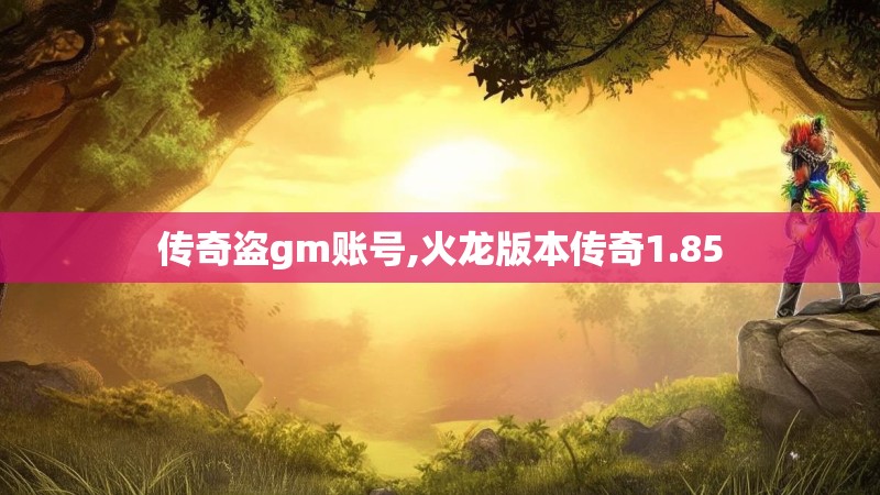 传奇盗gm账号,火龙版本传奇1.85