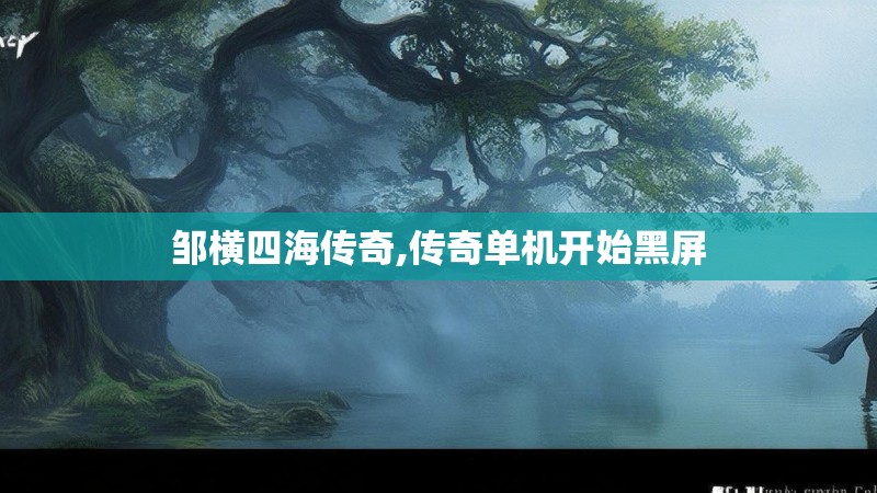 邹横四海传奇,传奇单机开始黑屏