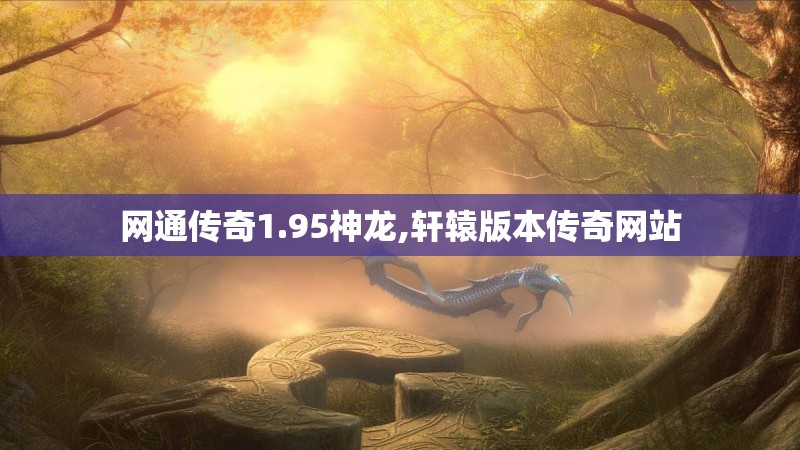网通传奇1.95神龙,轩辕版本传奇网站