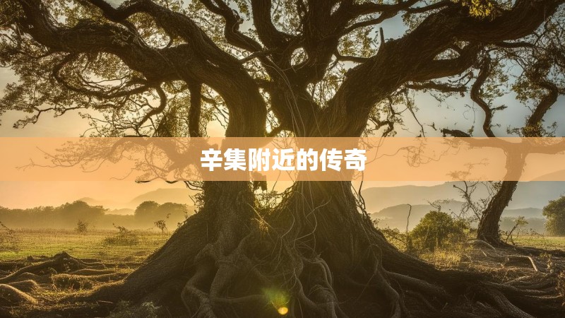 辛集附近的传奇