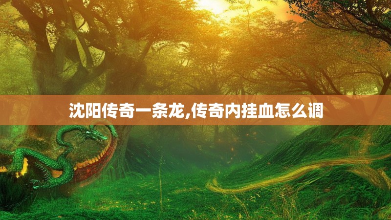 沈阳传奇一条龙,传奇内挂血怎么调