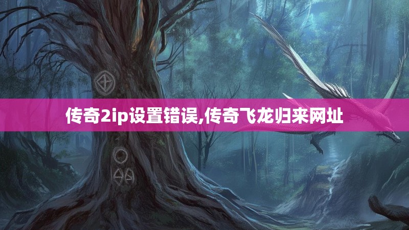 传奇2ip设置错误,传奇飞龙归来网址