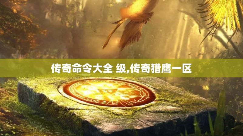 传奇命令大全 级,传奇猎鹰一区 传奇命令大全 级,传奇猎鹰一区