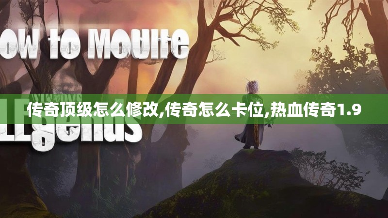 传奇顶级怎么修改,传奇怎么卡位,热血传奇1.90